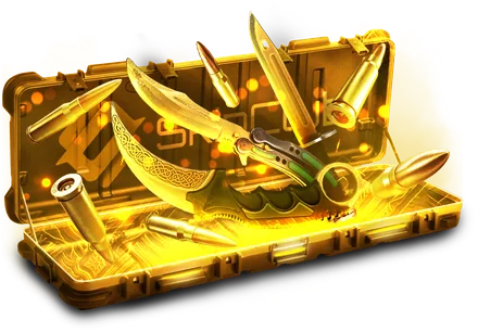 Top Battle case on SkinClub